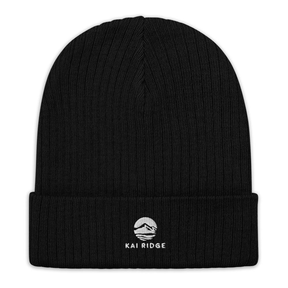 Recycled Cuffed Beanie